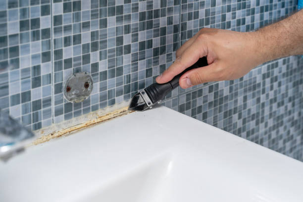 Best Certified Mold Removal  in Easton, MD